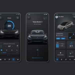 APP DEVELOPMENT - Advanced App