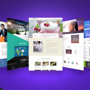WEBSITE DEVELOPMENT – Custom Website